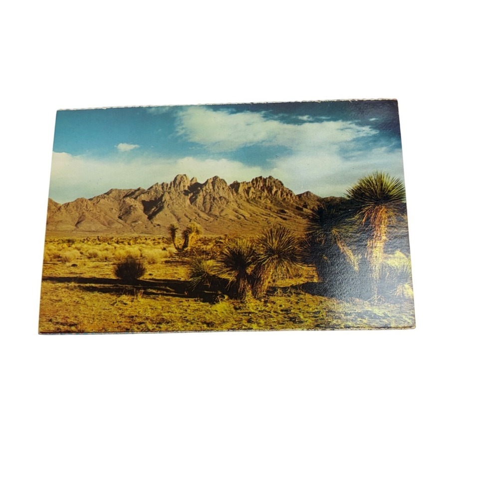 Vintage Organ Mountains New Mexico Postcard K-74 Southwest Post Card Co
